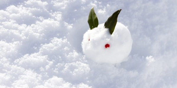 2019.02.07_nanaehama_01