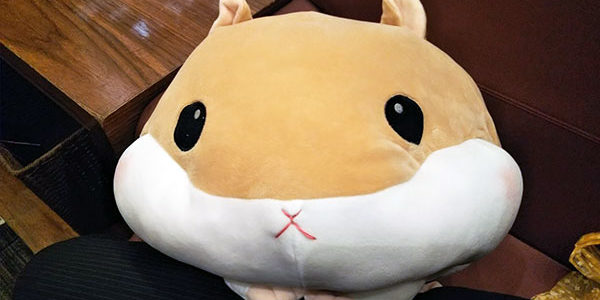 2019.04.15_kariki_03