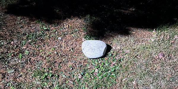 2020.12.09_oodoori_00