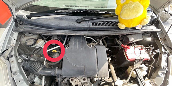 2021.08.09_oodoori_03