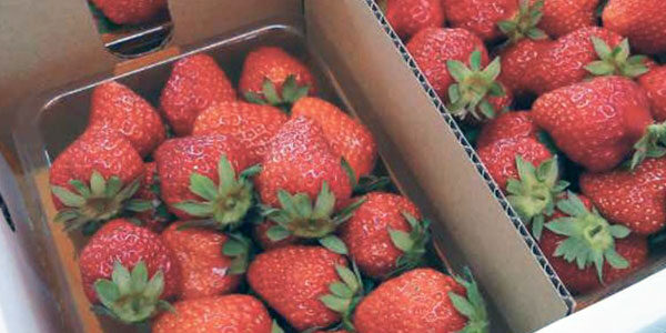 2022.03.05_nakamachi_07