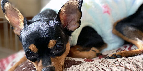 2022.04.17_fujino_00