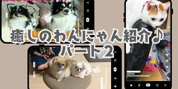 2024.11.09_oodoori_00