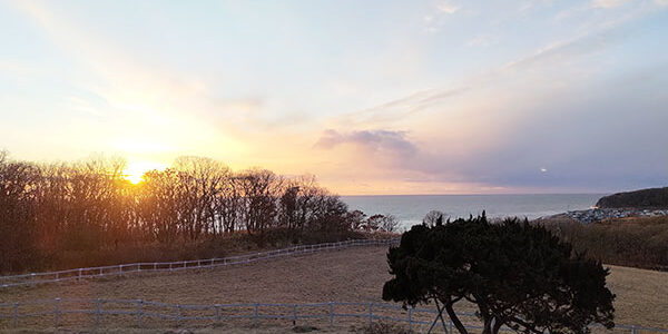 2025.03.15_kariki_06