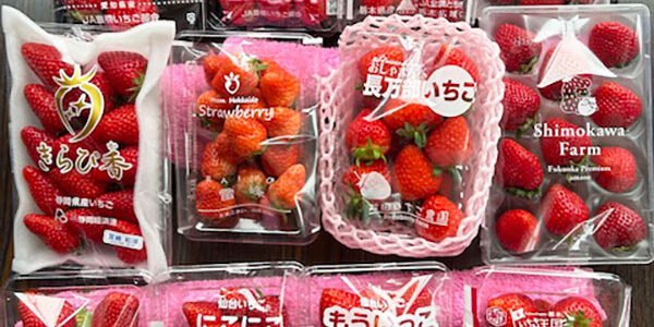 2025.05.05_nakamachi_00