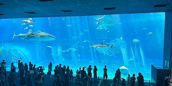 2025.08.01_kariki_06