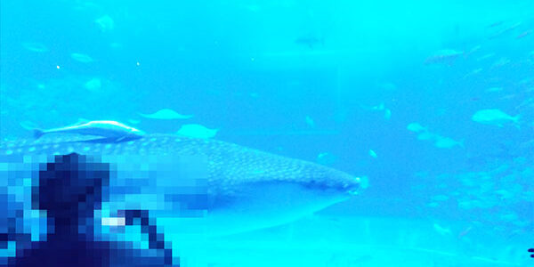 2025.08.09_oodoori_09